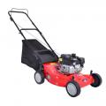   MTD 46 PROMO